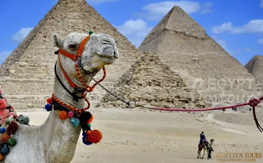 Pyramids of Giza