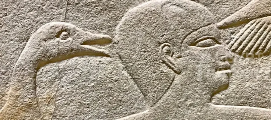 saqqara 3