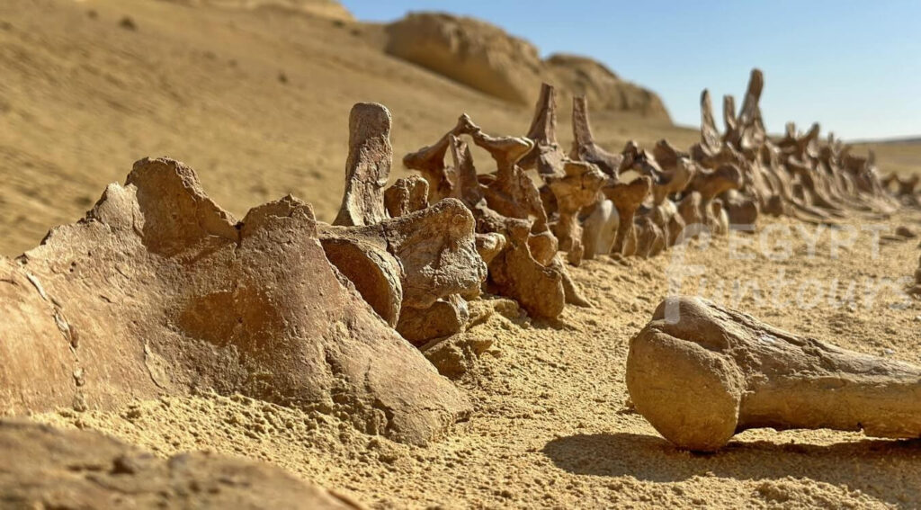 9 Days Egypt Tour Package Authentic Egypt Egypt Fun Tours min