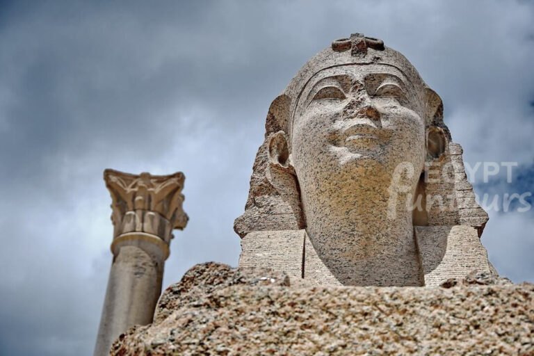 Alexandria day trips tours 8
