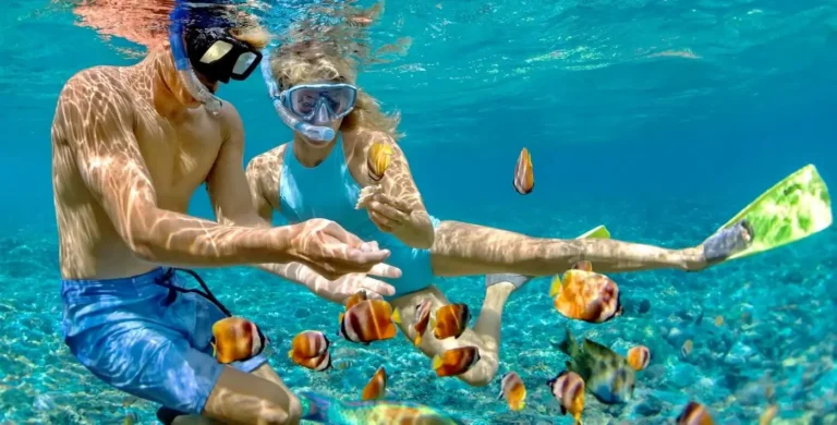 8 days easter holiday - Snorkeling boat trip in Sharm El Sheikh - 7-Day Cairo and Hurghada Holiday - 7-day honeymoon tour package