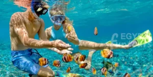 Boat Trip in Hurghada for Snorkeling Egypt Fun Tours min 1