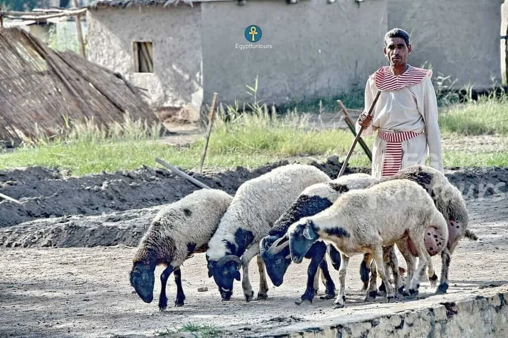 Family Fun and Modern Amenities - The Pharaonic Village