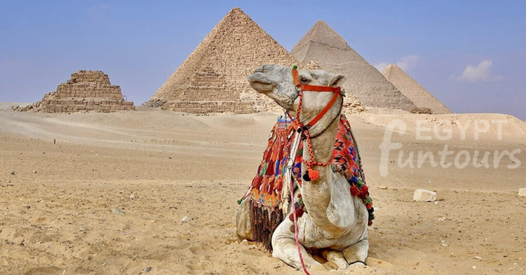 Fantastic Cairo Intensive Full Day Tours Egypt Fun Tours min 1