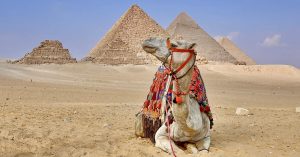 Fantastic Cairo Intensive Full-Day Tours - Egypt Fun Tours
