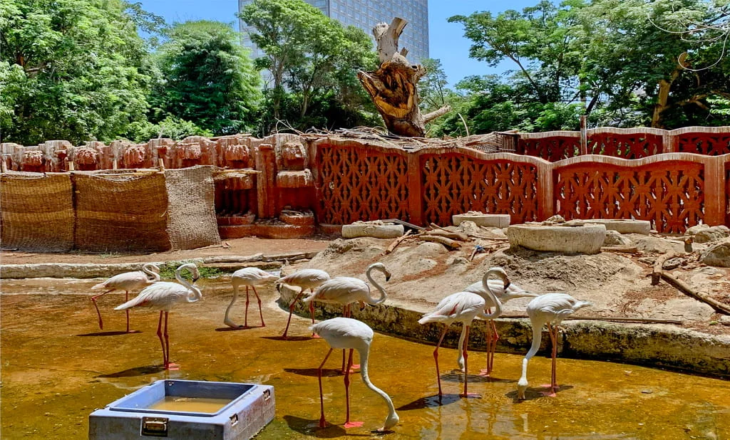 Giza Zoo The Influence of European Landscape Architecture