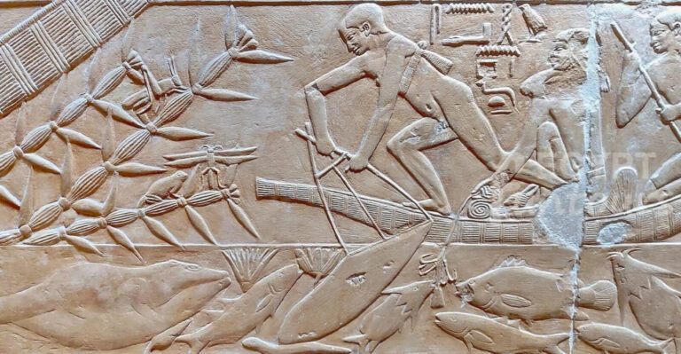 Half Day Tour to Saqqara Memphis Egypt Fun Tours min 1