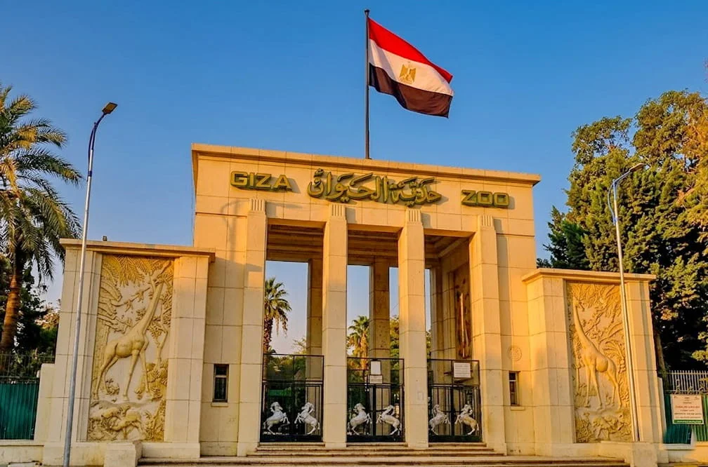 Scientific Research and the Museum