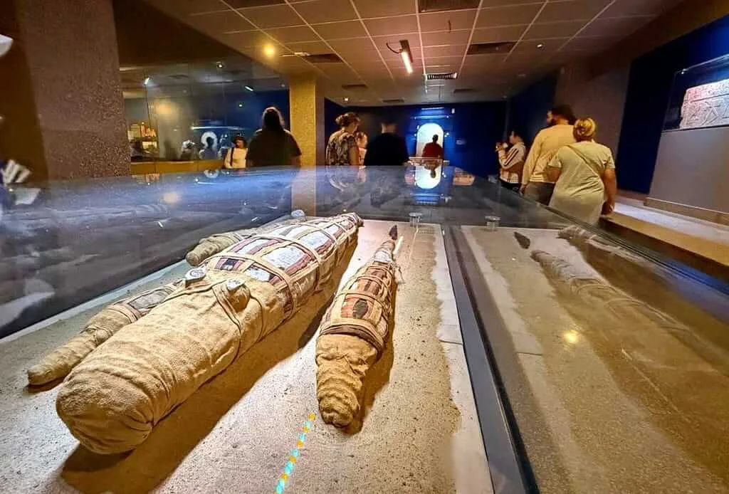 The Crocodile Museum From Predator to God