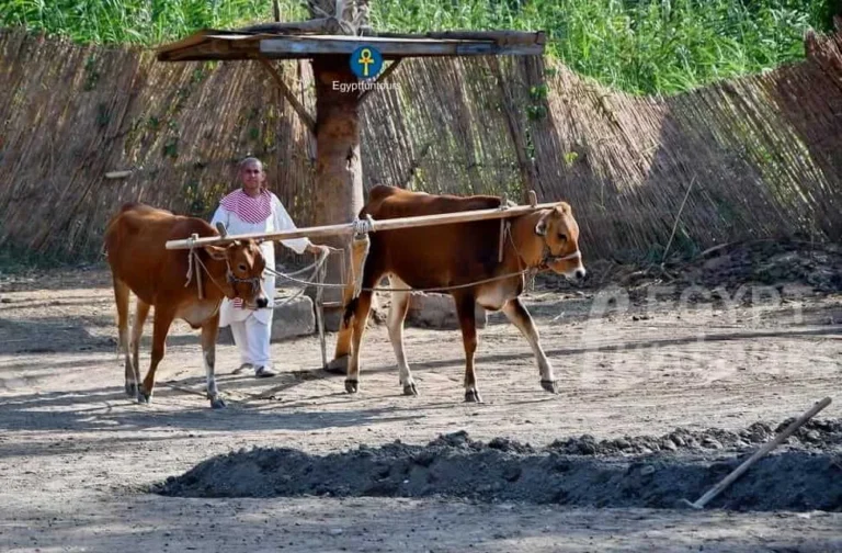 The Pharaonic Village A Living Journey Through Time