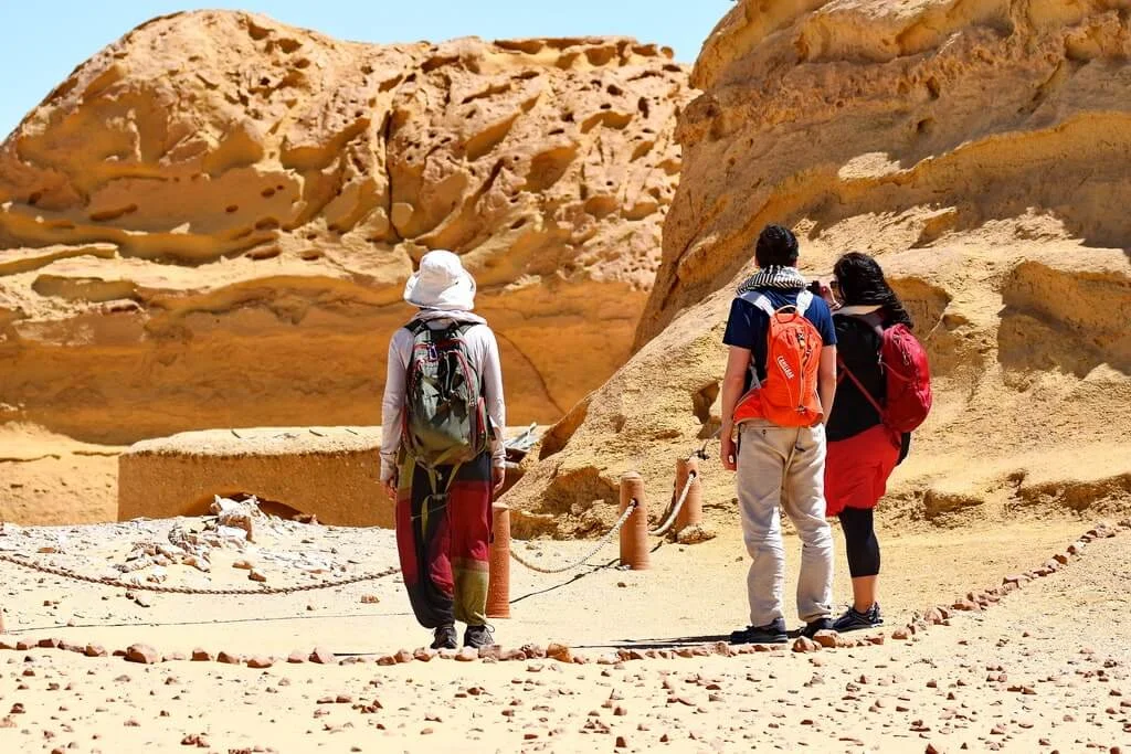 Wadi El Hitan Fossils