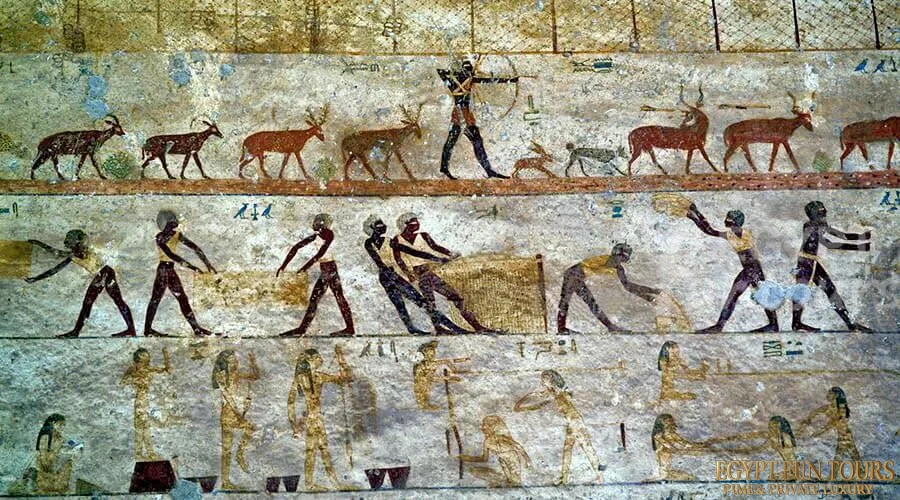 exceptional easter tour - Beni hassan tombs and El Menia from Cairo - 8-day bus tour