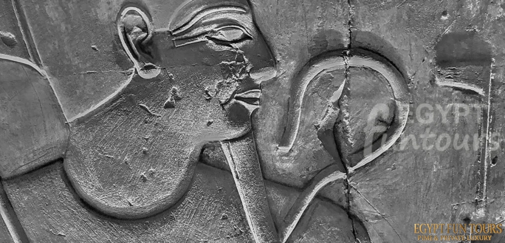 10 Day Egypt Tour to Cairo NIle Cruise Abu Simbel Wadi El Hitan Egypt Fun Tours min 1