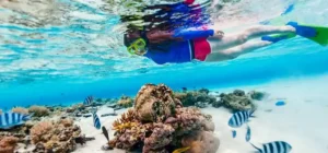 7 Days Cairo Luxor Hurghada Tour Package - 7-day tour package