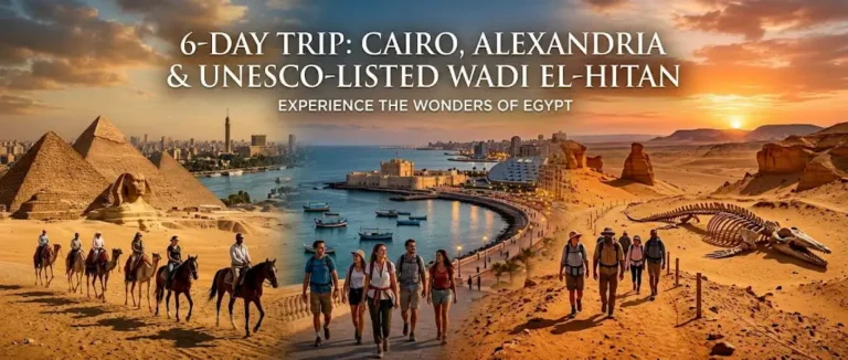 6-Day Trip Cairo, Alexandria & UNESCO-Listed Wadi El-Hitan