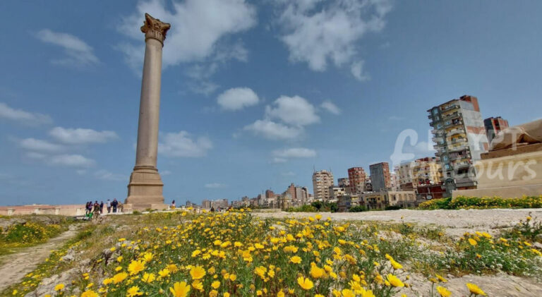 6 Days Tours of Alexandria Wadi El Hitan El Fayoum Oasis and Cairo - meditation tour