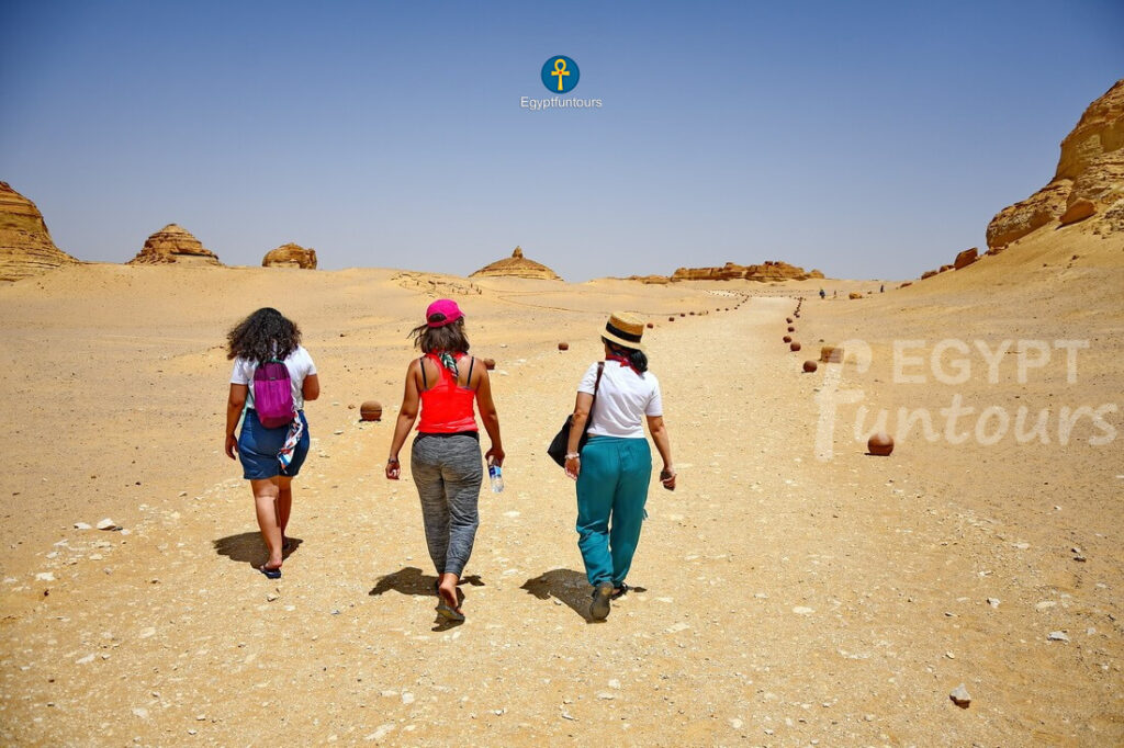 El fayoum wadi Hitan 3