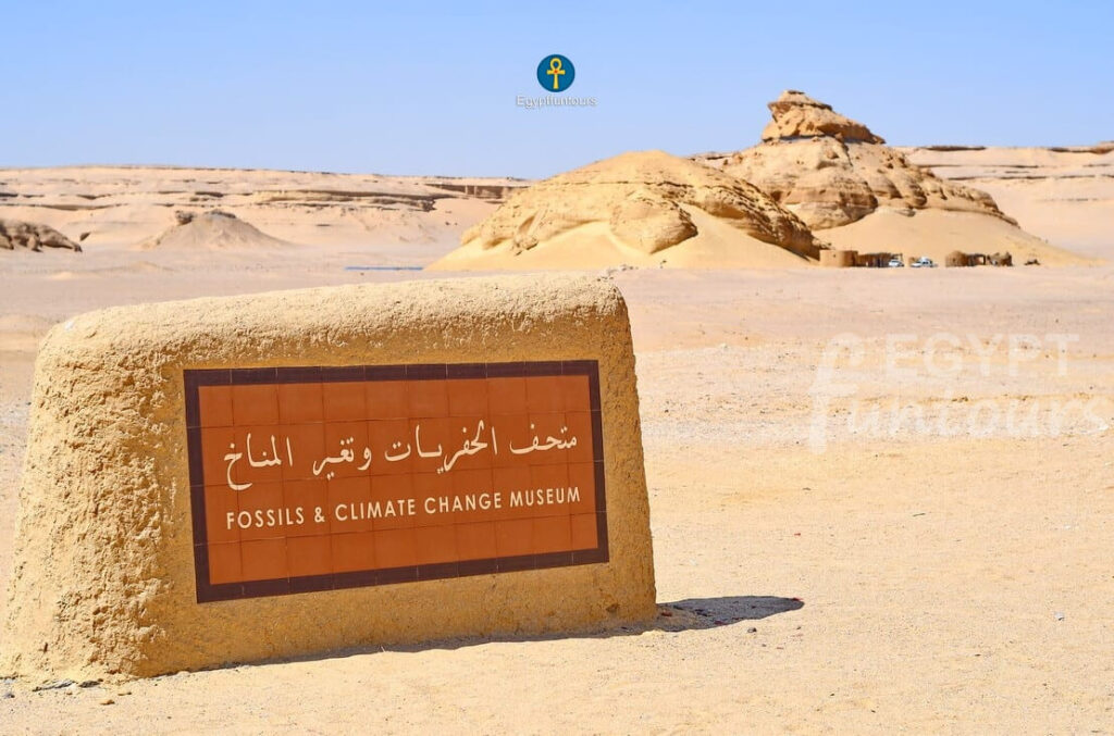 El fayoum wadi Hitan - 9 days unesco tour