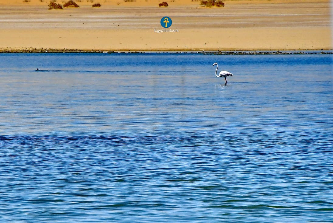 Wadi El Rayan Fayoum