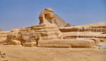gull sphinx