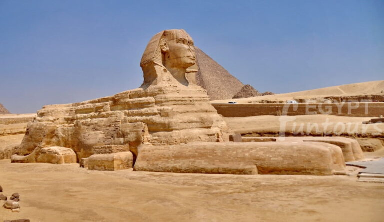 gull sphinx