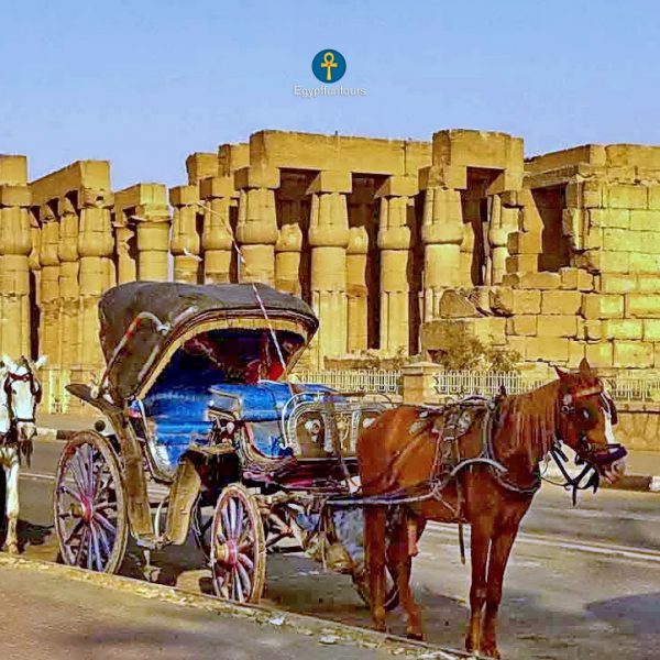 Horse carriage in Luxor