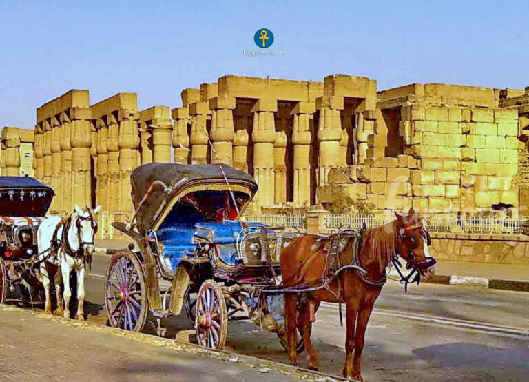 horse carriage at luxor