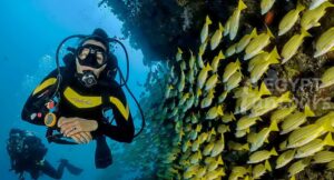 Diving Trip in Hurghada - port ghalib diving excursion - 7 Days Cairo and Hurghada Holiday