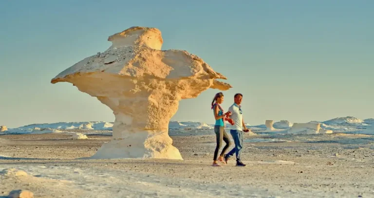 3-Night White Desert Camping and Bahariya Oasis Tours