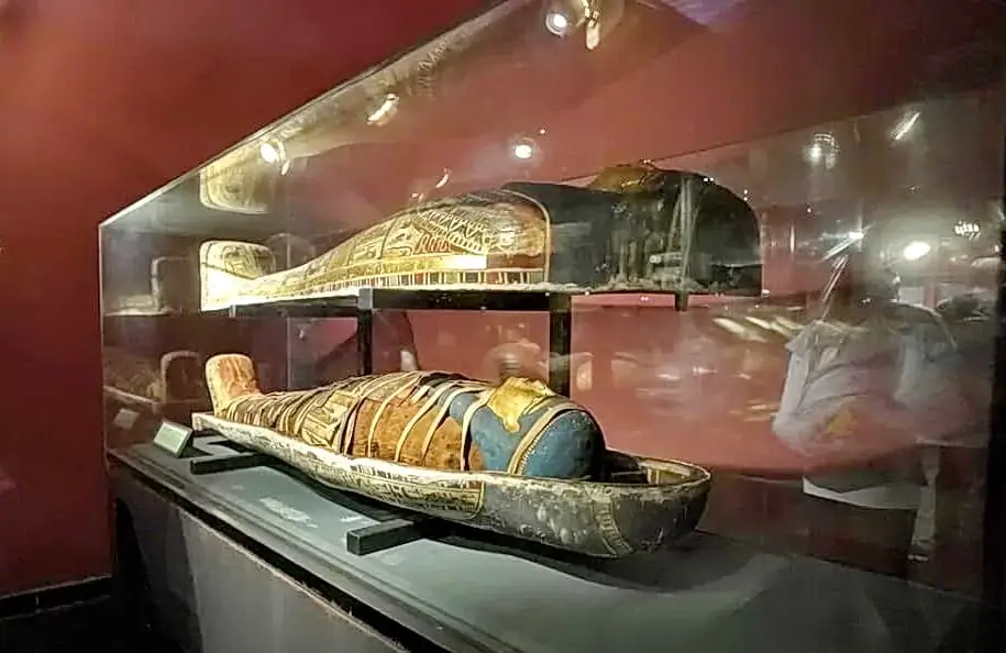 Mummies on display