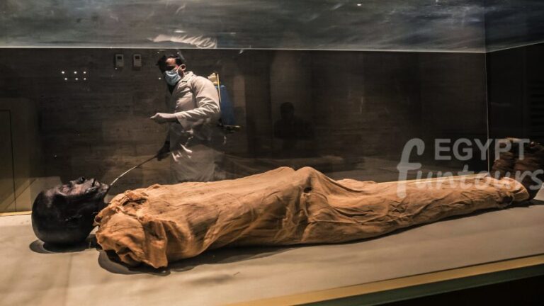 Ancient Egyptian Mummy - National Museum of Egyptian Civilization tours