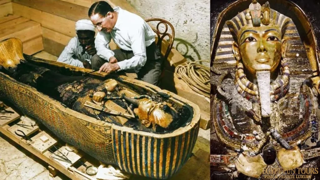 curse of pharaohs