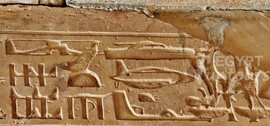 helicopter hieroglyphs at Abydos