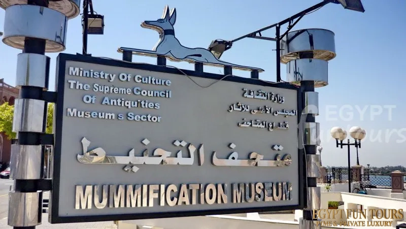luxor mummification museum 1