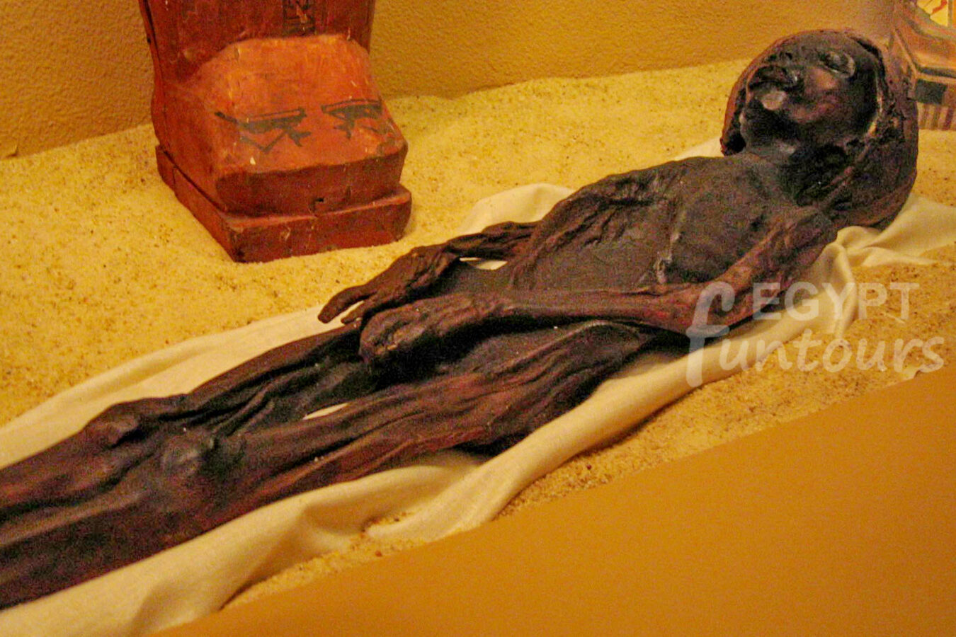 luxor mummification museum 4