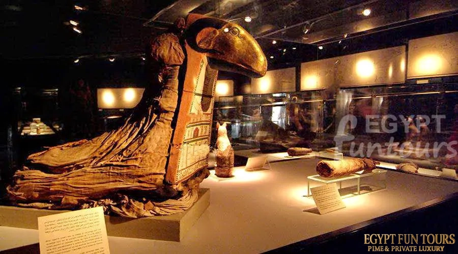 luxor mummification museum 8