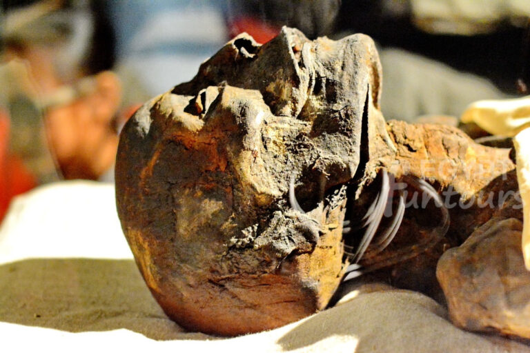 luxor museum artifacts 15