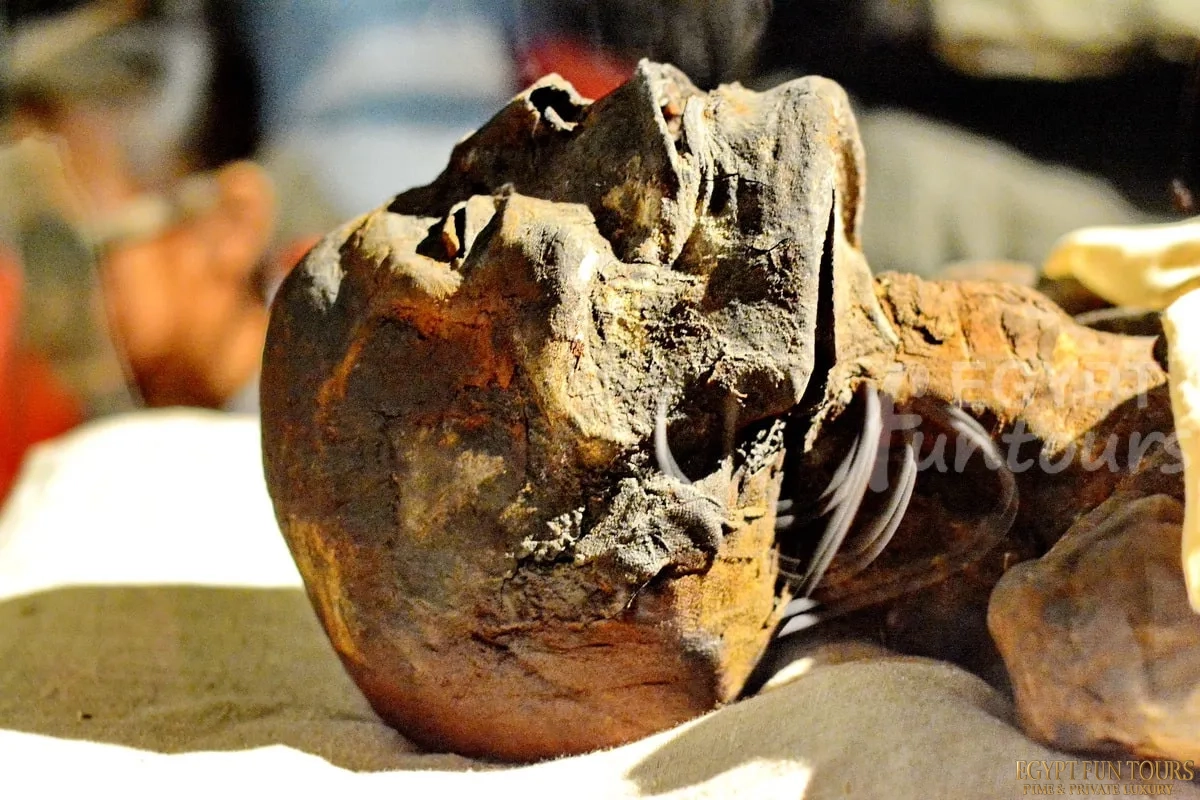 luxor museum artifacts 15