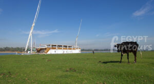 2 dahabiya Zekrayaat