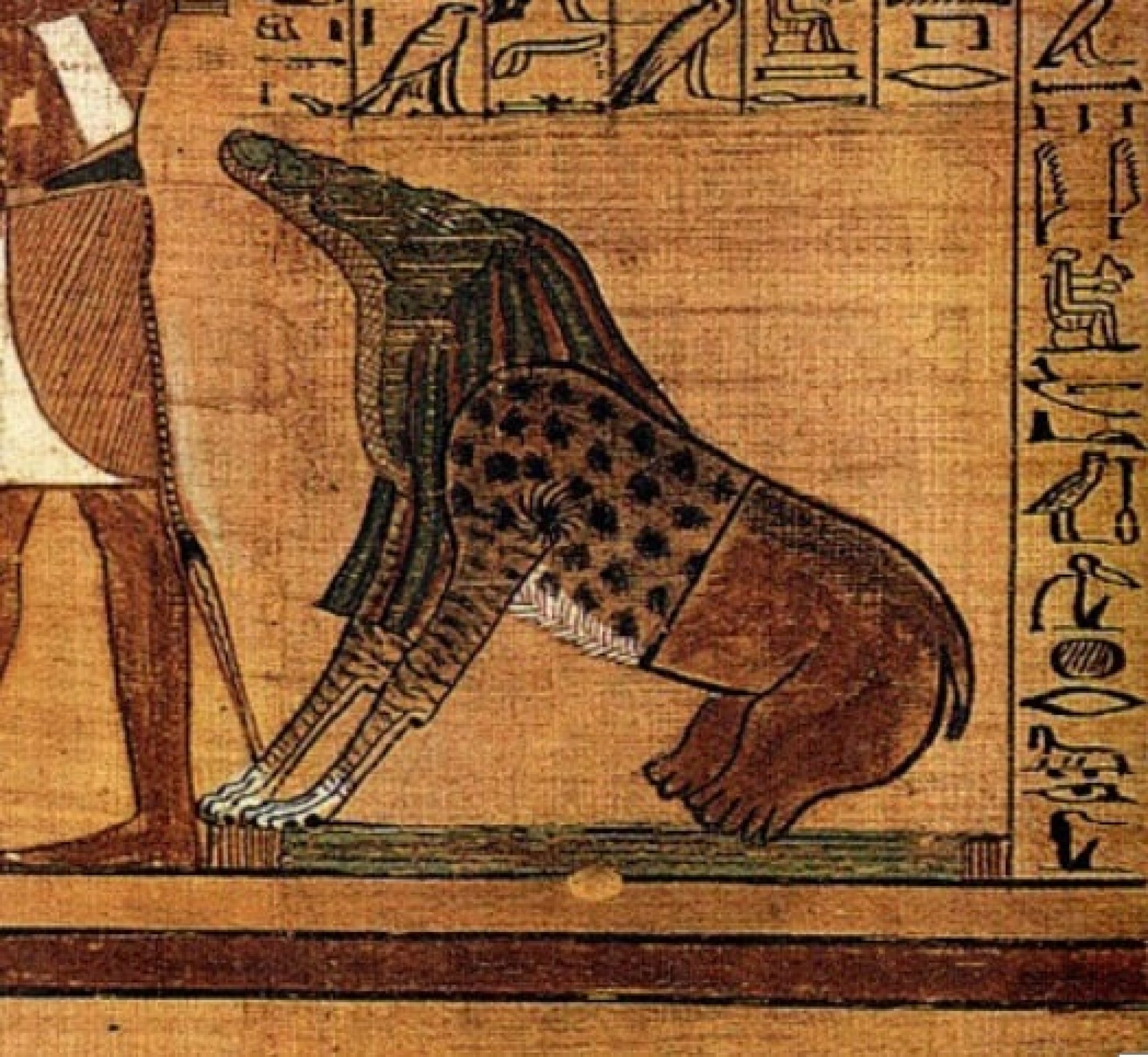 Животные в египте рисунки