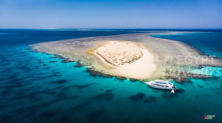 Marsa Alam Egypt Fun Tours - Things to do in Marsa alam