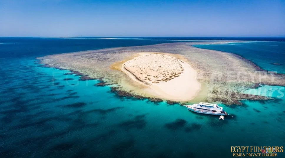Marsa Alam Egypt Fun Tours - Things to do in Marsa alam
