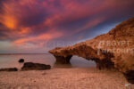Red Sea Egypt fun tours