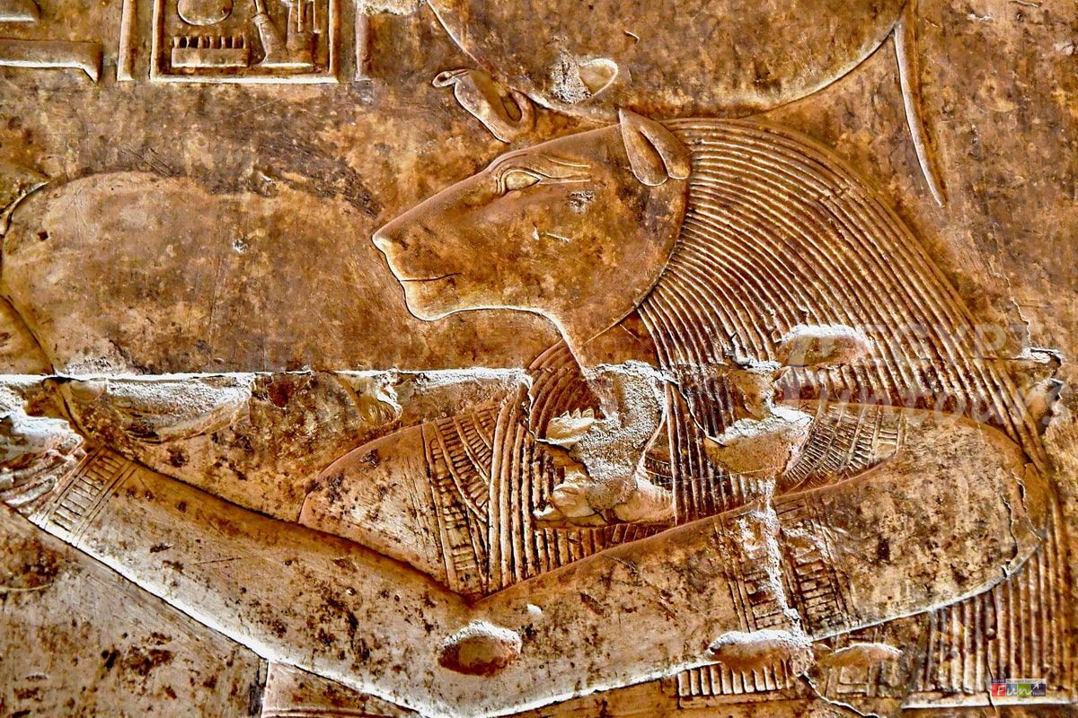 Tefnut moisture goddess ancient egyptian gods goddesses egypt fun tours