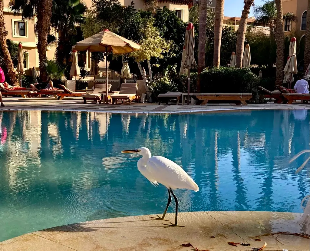 Why Choose Makadi Bay; The Makadi Advantage