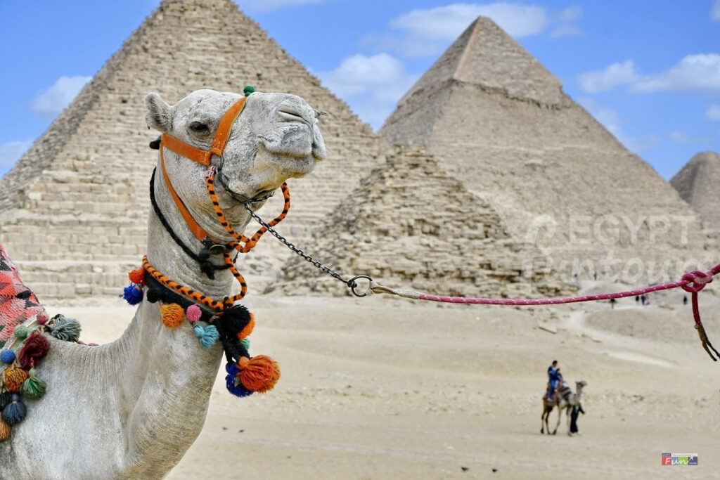 aancient egyptian pyramids facts egypt fun tours