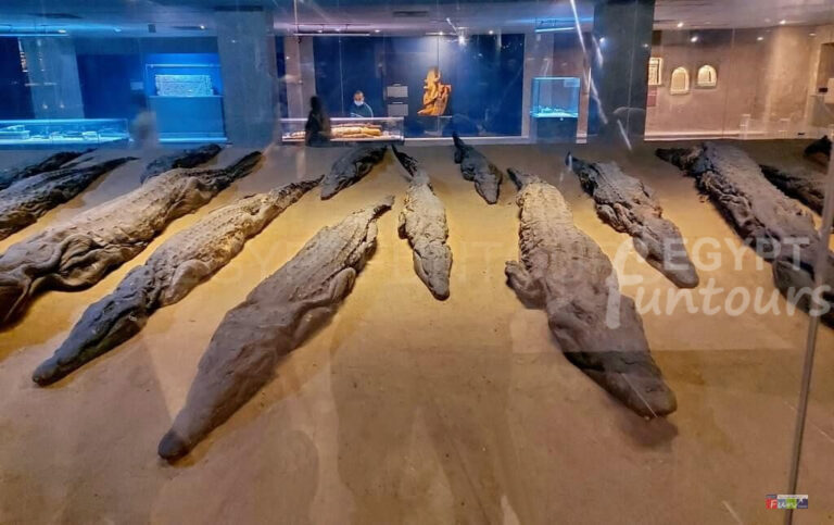 Kom Ombo Crocodile museum - The Crocodile god of ancient Egypt God Sobek