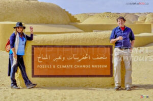 Climate change and fossil museum