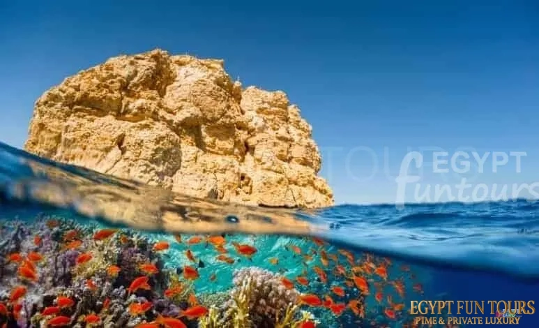 tropical beauty of the red sea reasons to travel to egypt egypt fun tours