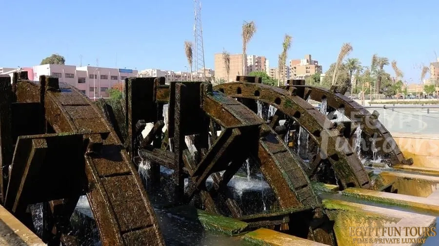 waterwheels in fayoum egypt fun tours
